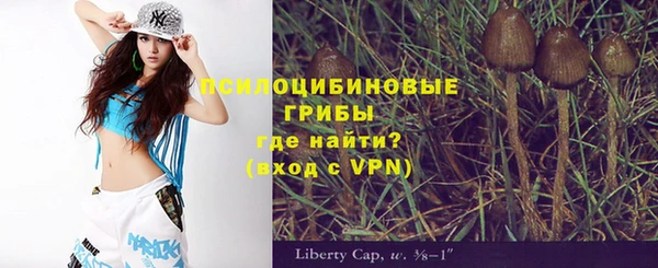 spice Алзамай