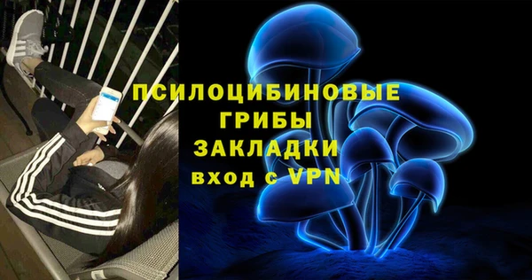 spice Алзамай